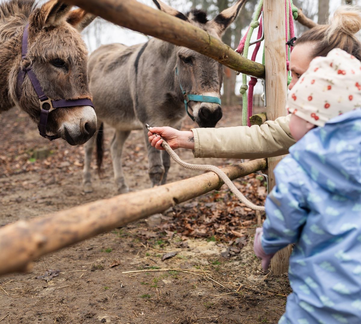 Kinder am Eselhof
